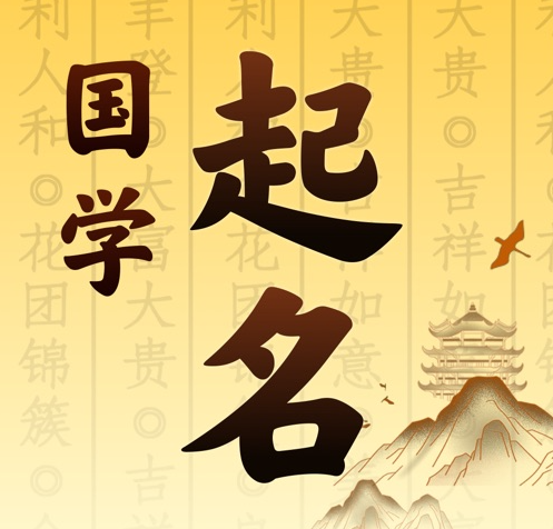 浔阳国学起名 人工起名一对一
